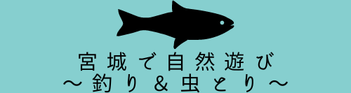 宮城で自然遊び ~釣り＆虫とり~